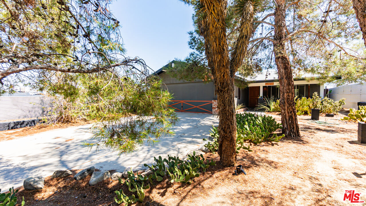 62033 Bonair Road Joshua Tree, CA 92252 - Photo 2 of 53 a view of a yard with plants and trees