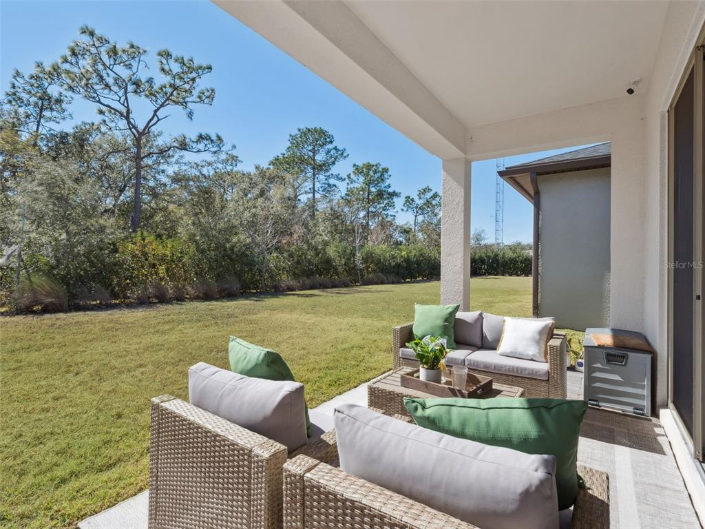 2932 Tupelo Loop St. Cloud, FL 34772 - Photo 15 of 47 a view of patio with couches table and chairs with potted plants