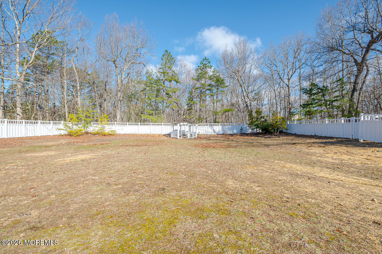 878 Green Valley Road Jackson, NJ 08527 - Photo 17 of 28 yard 2