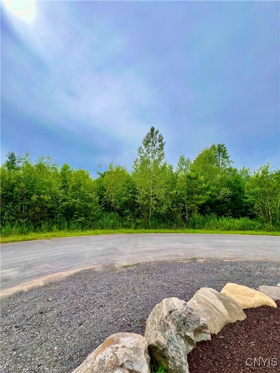 Lot 11 Forest Ridge Drive Rome, NY 13440 - Photo 4 of 7