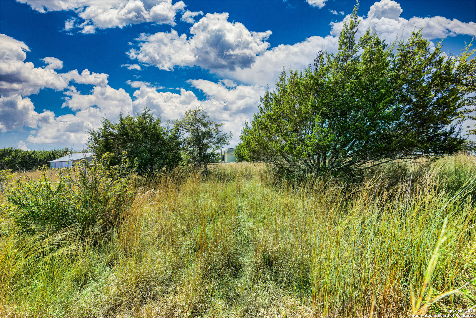104 Capt Castro Blanco, TX 78606 - Photo 5 of 30 a view of a garden