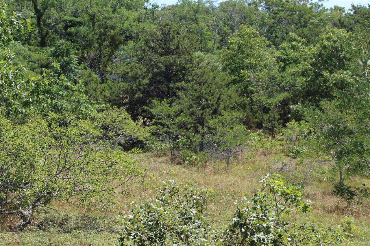 9 Mill Pond Road Truro, MA 02666 - Photo 13 of 32 Additional Photo