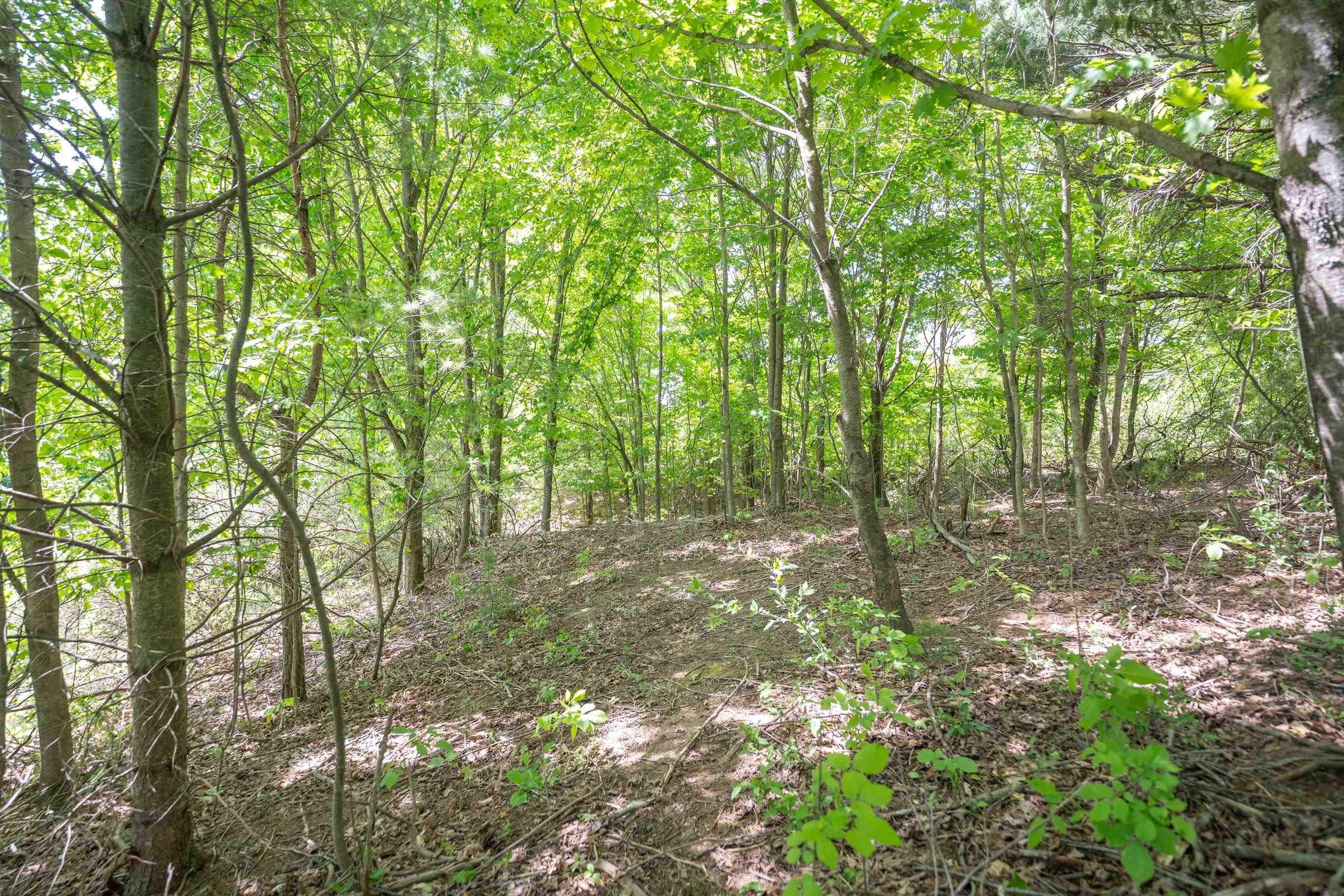 Tbd Traverse Road Thompsonville, MI 49683 - Photo 26 of 40