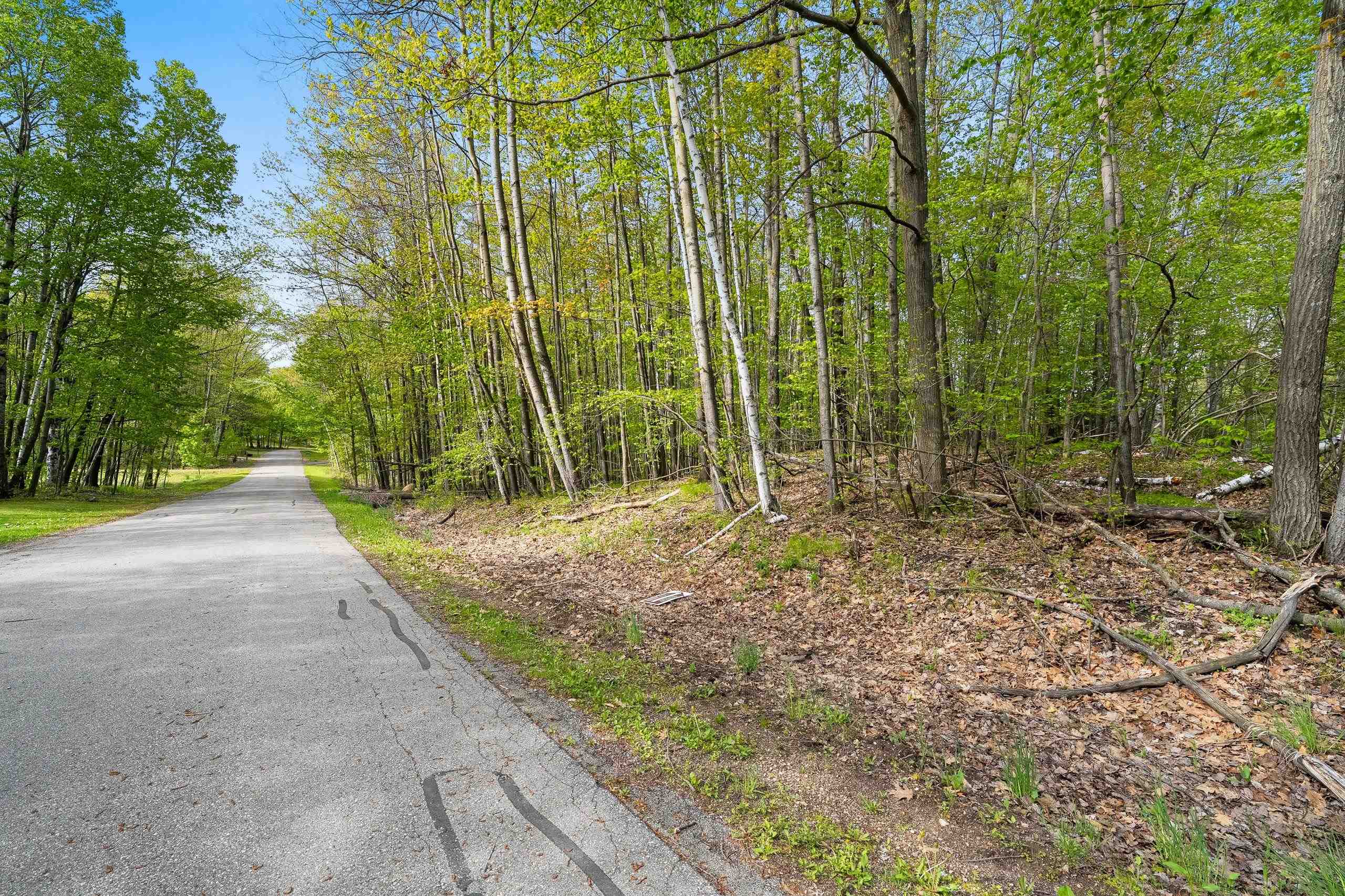 Birchwood Lane, Unit 3 Suring, WI 54174 - Photo 16 of 20