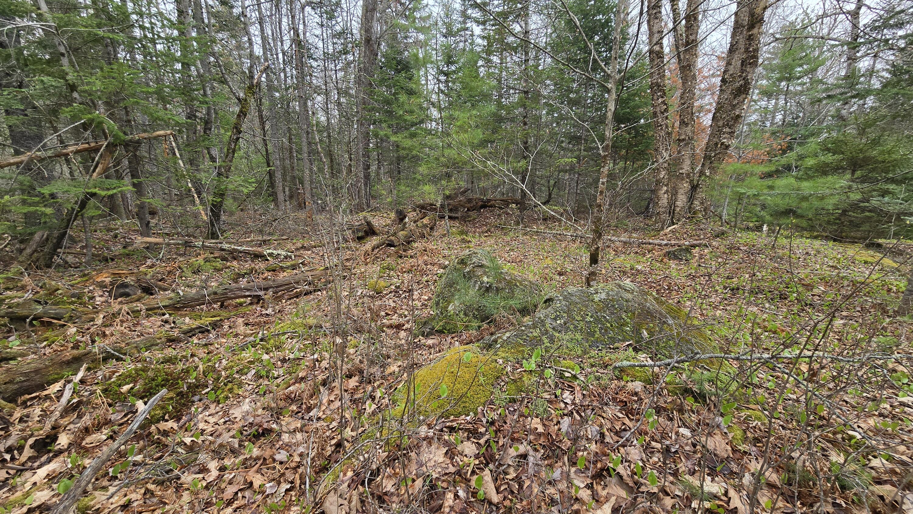 Lot 58 Camden Road Lincolnville, ME 04849 - Photo 3 of 8