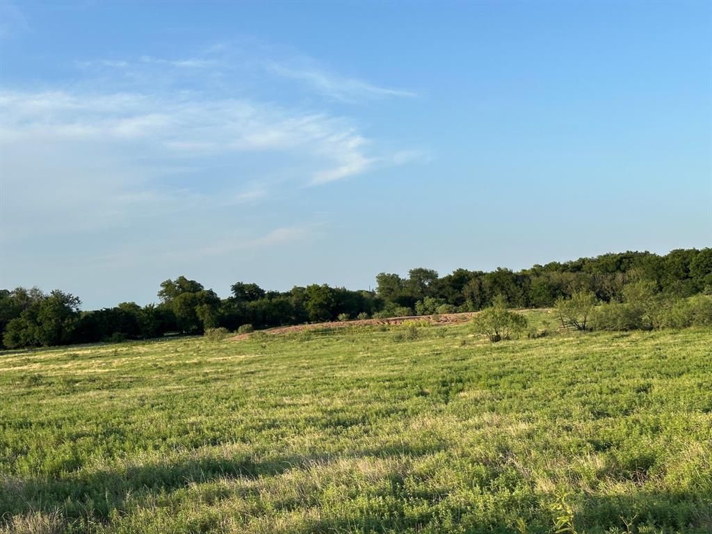 Tbd Rock Springs School Road Nocona, TX 76255 - Photo 19 of 24