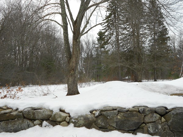 16 Grandview Road Chelmsford, MA 01824 - Photo 1 of 1