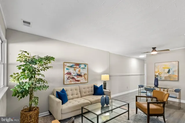 a living room with furniture a potted plant and a window