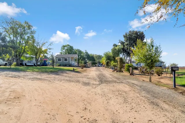 a view of a yard with plants and trees