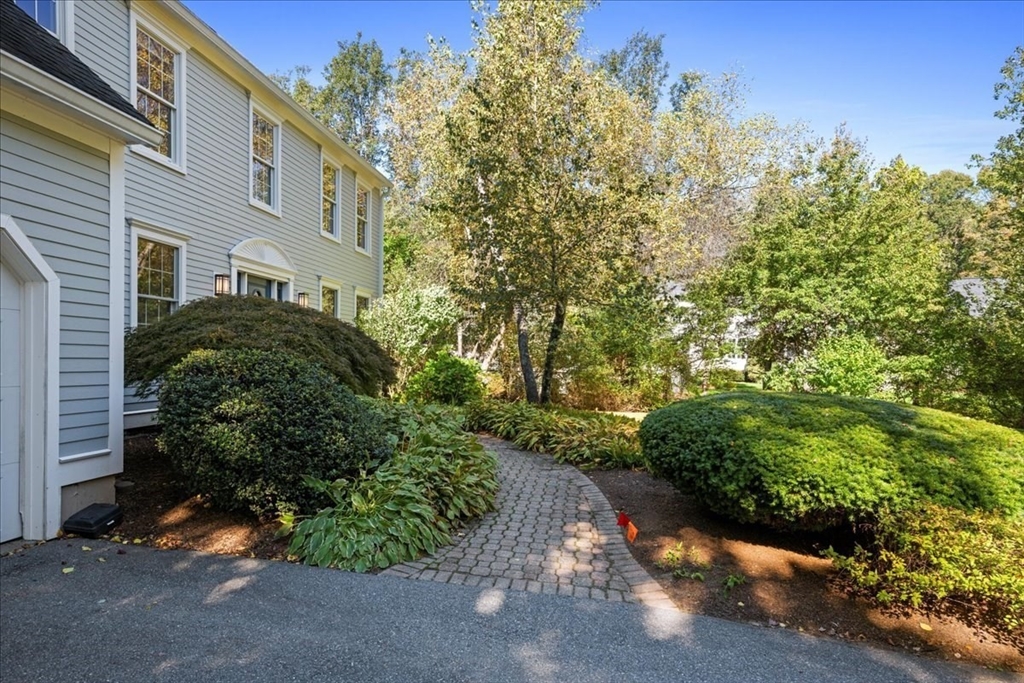 8 Arch Street Shrewsbury, MA 01545 - Photo 41 of 42 a view of a street with potted plants and large trees
