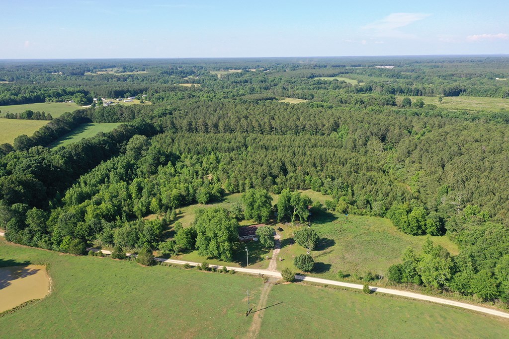 216 Palmetto Forge Road Saluda, SC 29138 - Photo 19 of 21