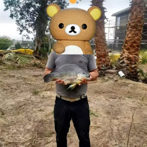 a close view of a sink