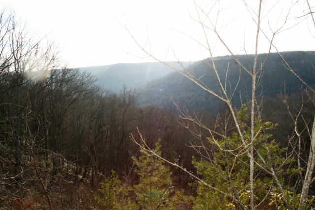 View from the bluff