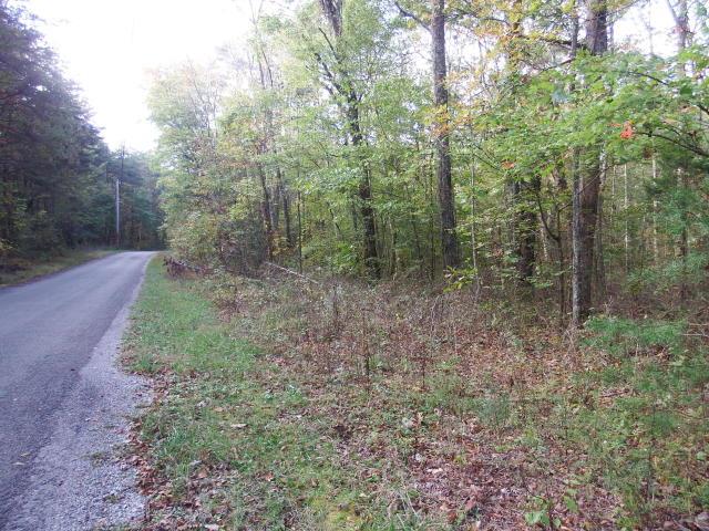 Road leading to Bridal Veil bluff
