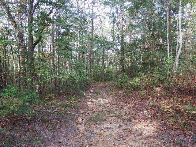 Driveway into the property