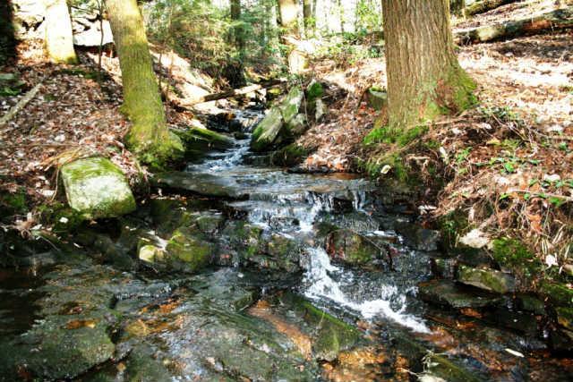 0 Ingman Clf Road Monteagle, TN 37356 - Photo 8 of 9 Creek on the property