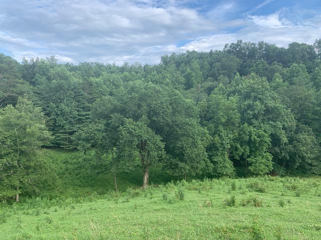 691 Dry Branch Road Hazel Green, KY 41332 - Photo 15 of 33 IMG_4320