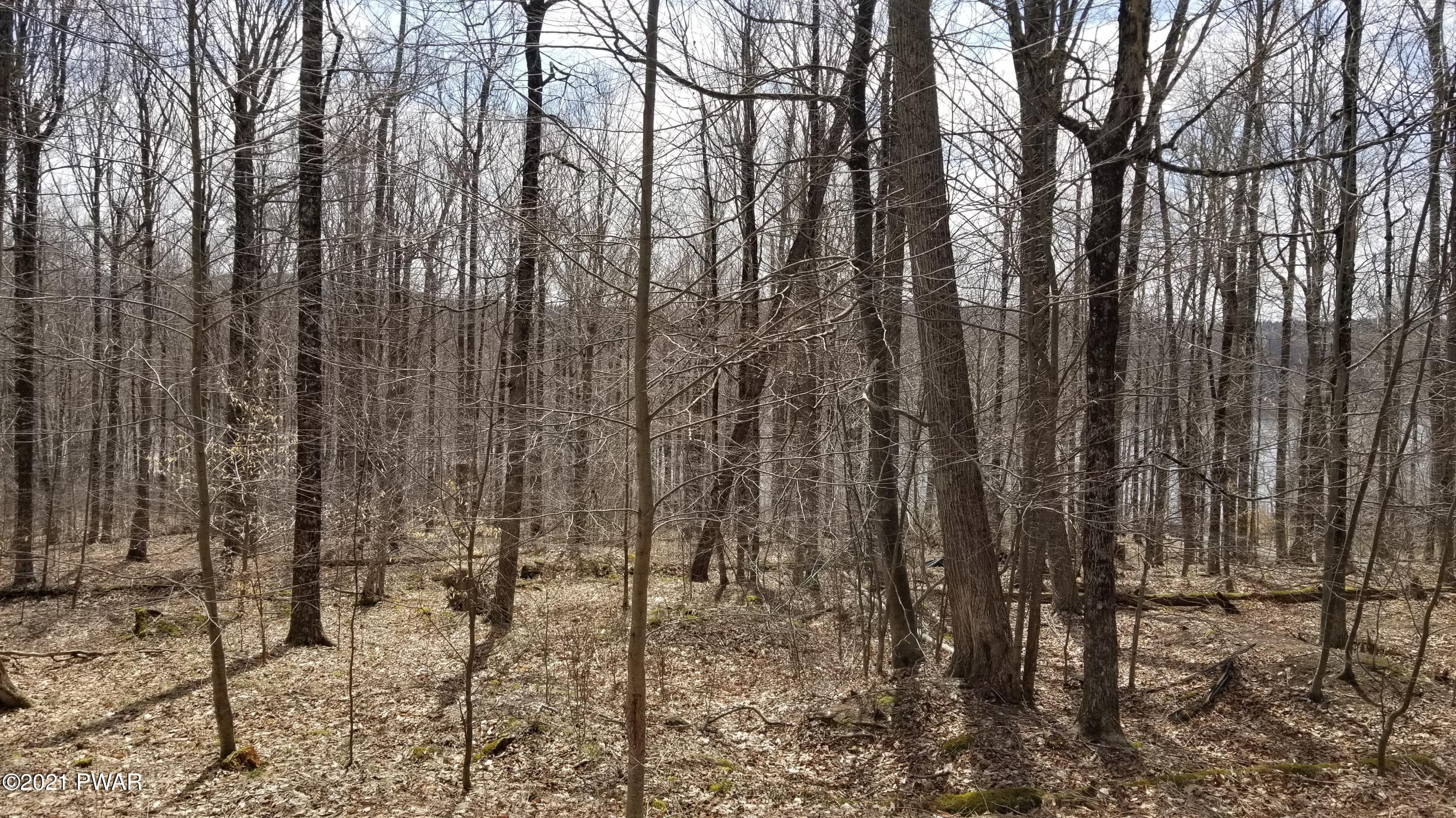 72 Old Woods Road Equinunk, PA 18417 - Photo 3 of 4