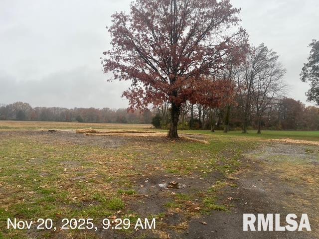 a view of outdoor space with trees