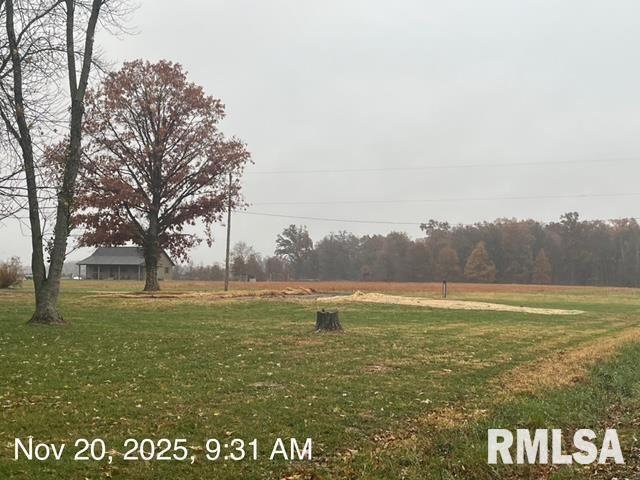 9203 East Park Street Road Du Quoin, IL 62832 - Photo 5 of 7 a view of an ocean from a yard