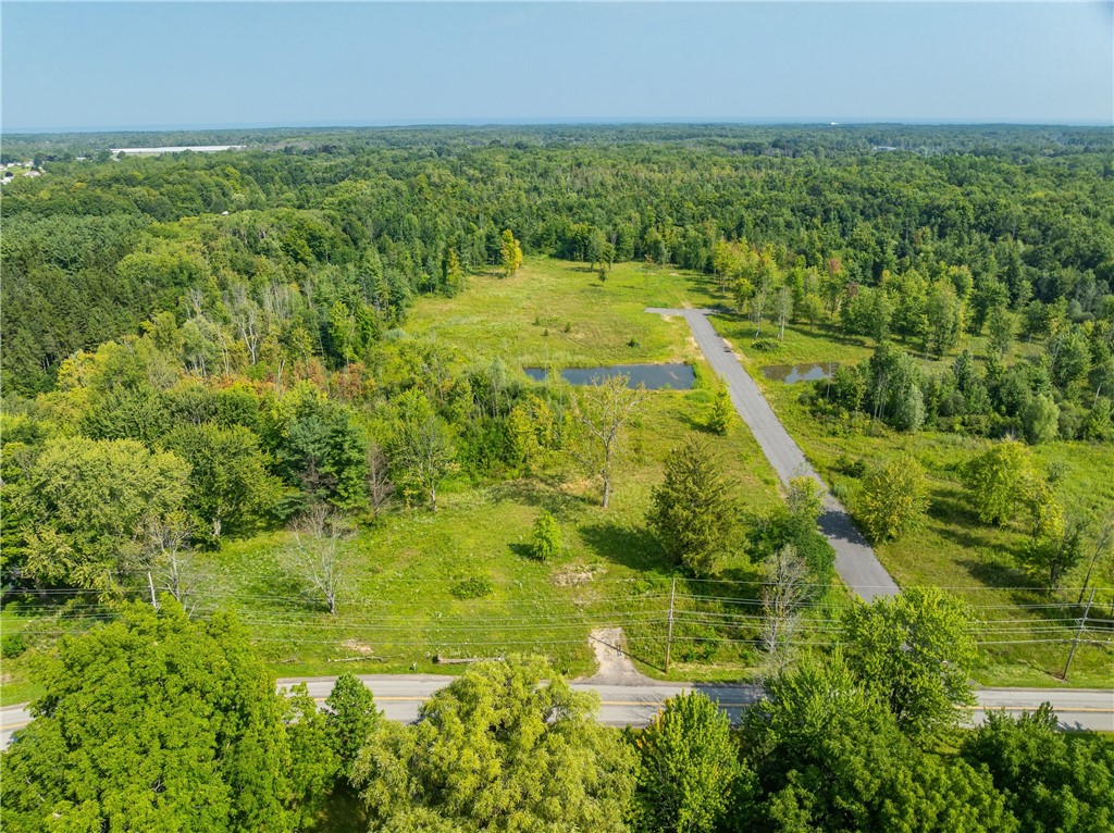 Lot 2 Clevenger Road Ontario, NY 14519 - Photo 6 of 10