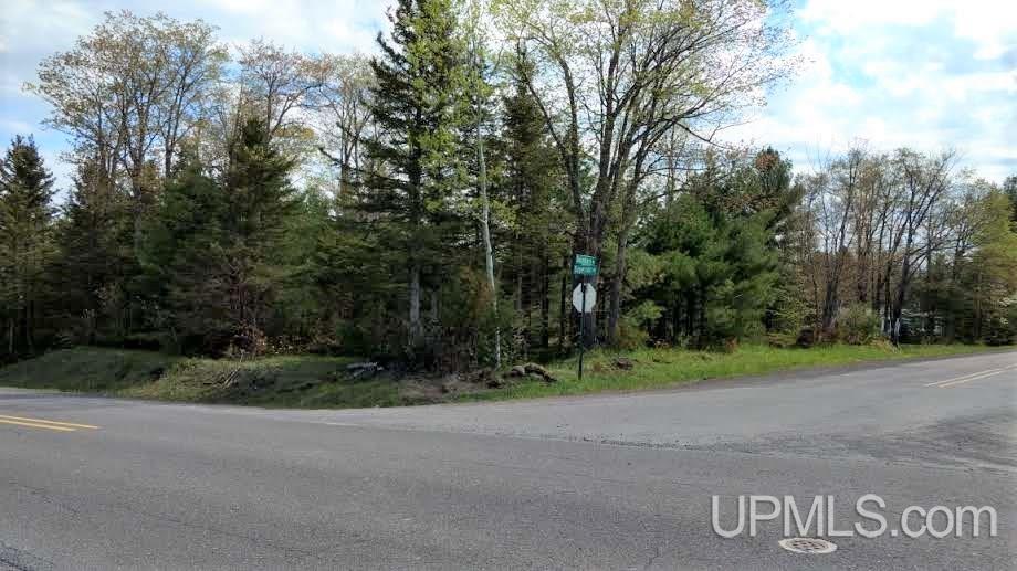 Tbd Boundary Road Chassell, MI 49931 - Photo 12 of 15