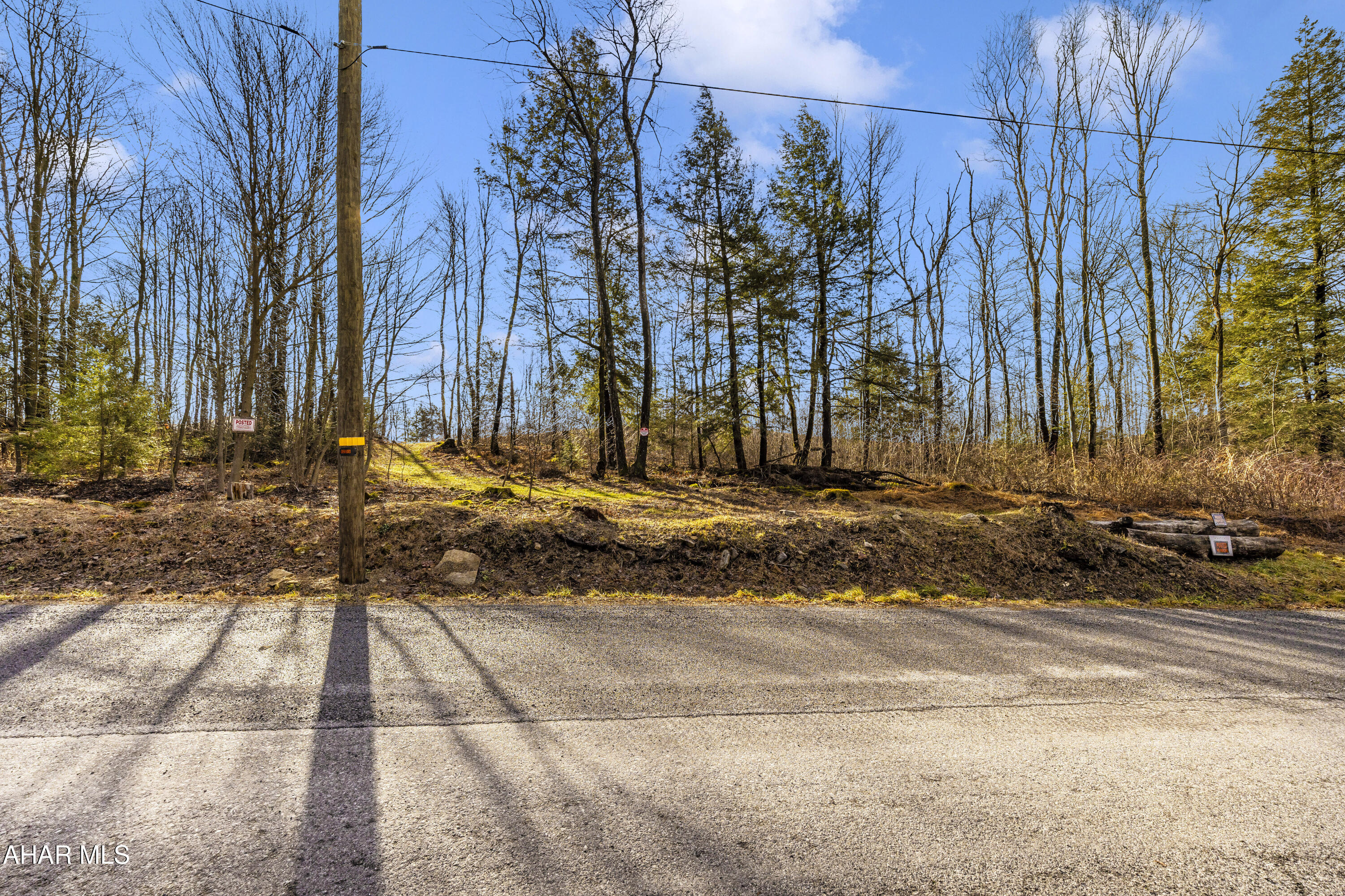 0 Lot 6 Mountain Road Road Lilly, PA 15938 - Photo 8 of 33