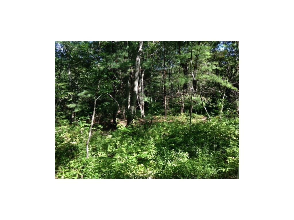 Lot 05 Old Stage Road Woolwich, ME 04579 - Photo 4 of 8 Photo