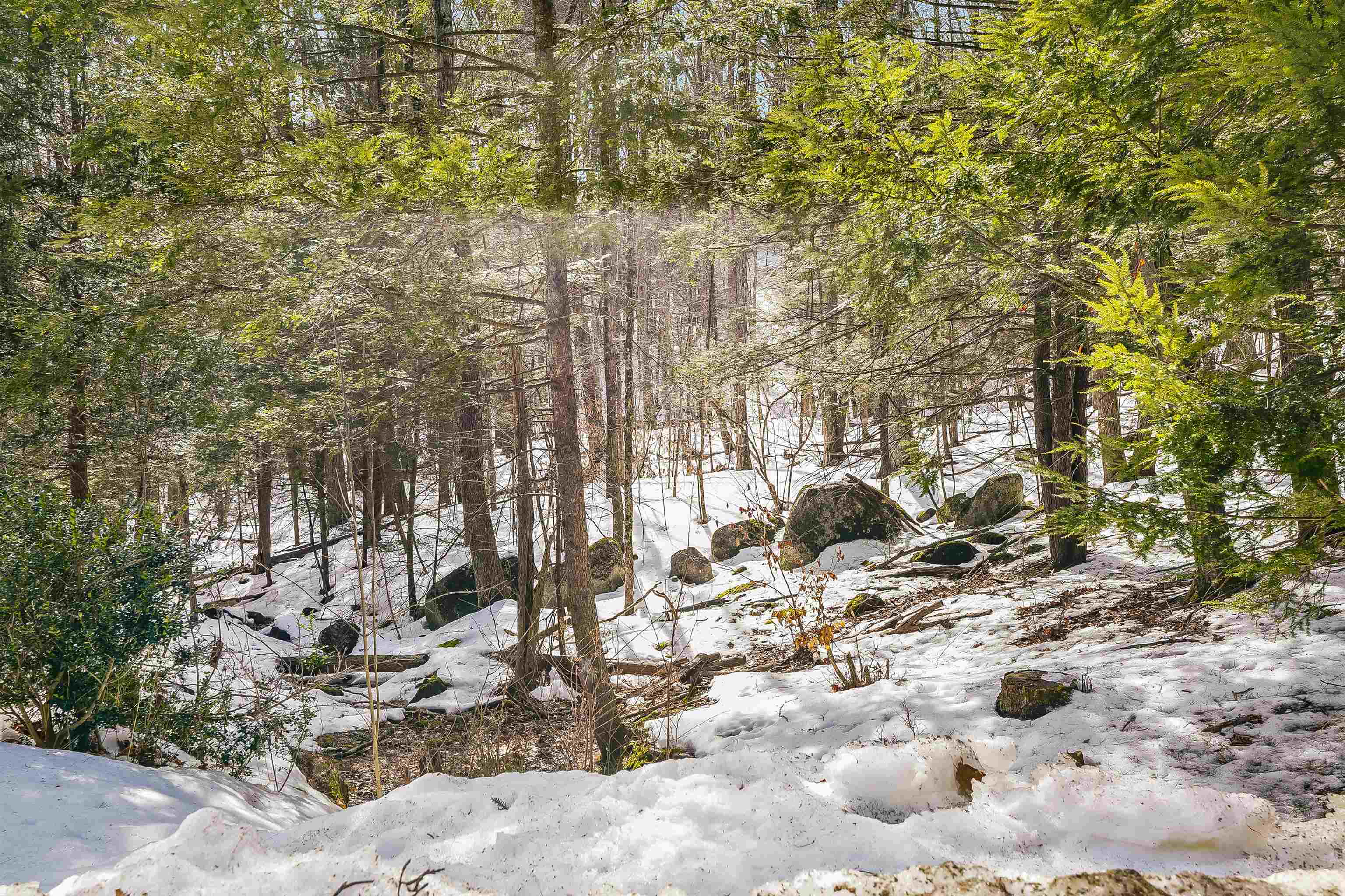 10 Nathaniel Drive Amherst, NH 03031 - Photo 41 of 46