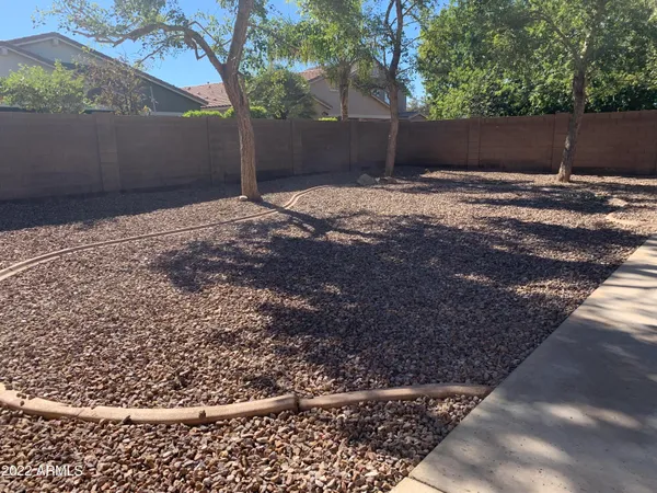 a view of a backyard