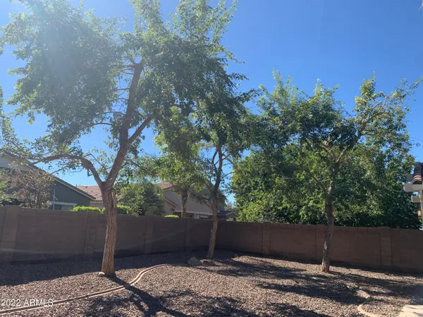 a view of a backyard