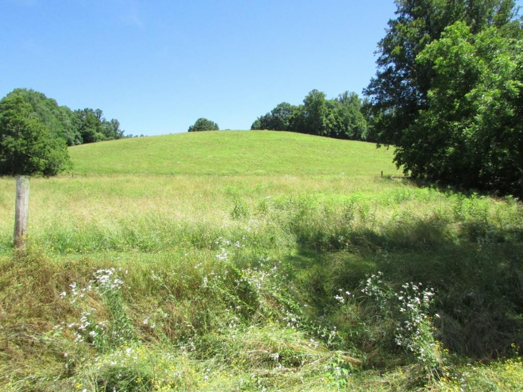 233 Nave Hollow Road Elizabethton, TN 37643 - Photo 1 of 1 Photo 1