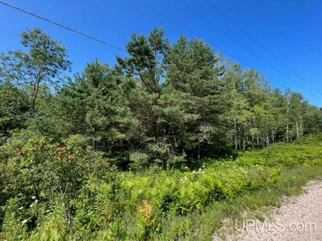 Tbd Connors Road Munising, MI 49862 - Photo 3 of 5