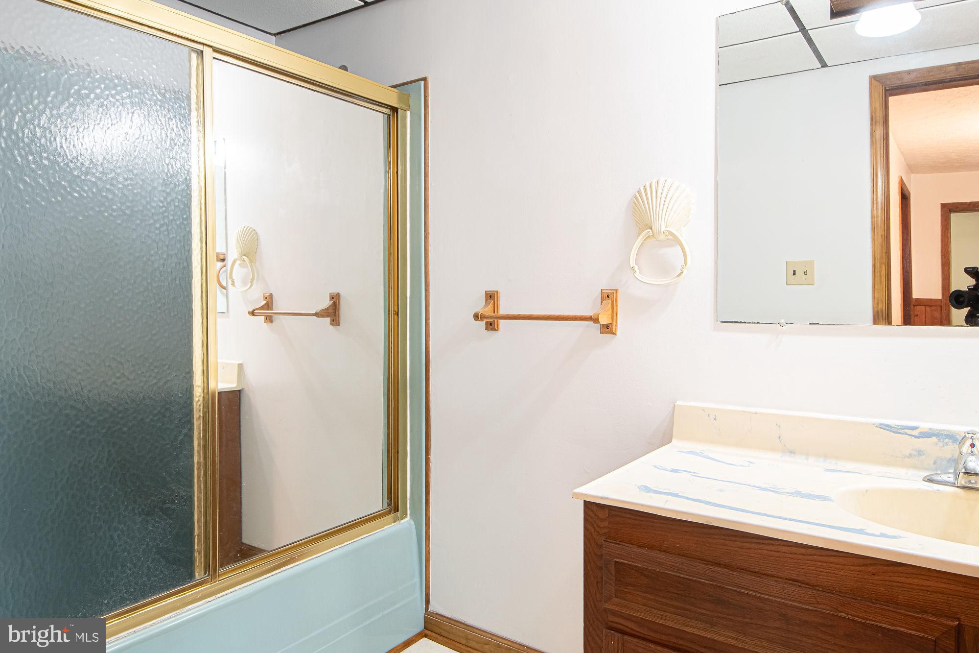 115 Chester Gap Road Chester Gap, VA 22623 - Photo 34 of 61 Main Level Full Bath