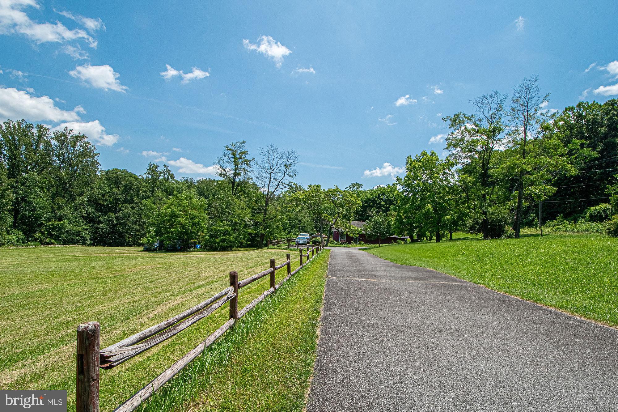 115 Chester Gap Road Chester Gap, VA 22623 - Photo 4 of 61 Road to the House is a Driveway Easement)