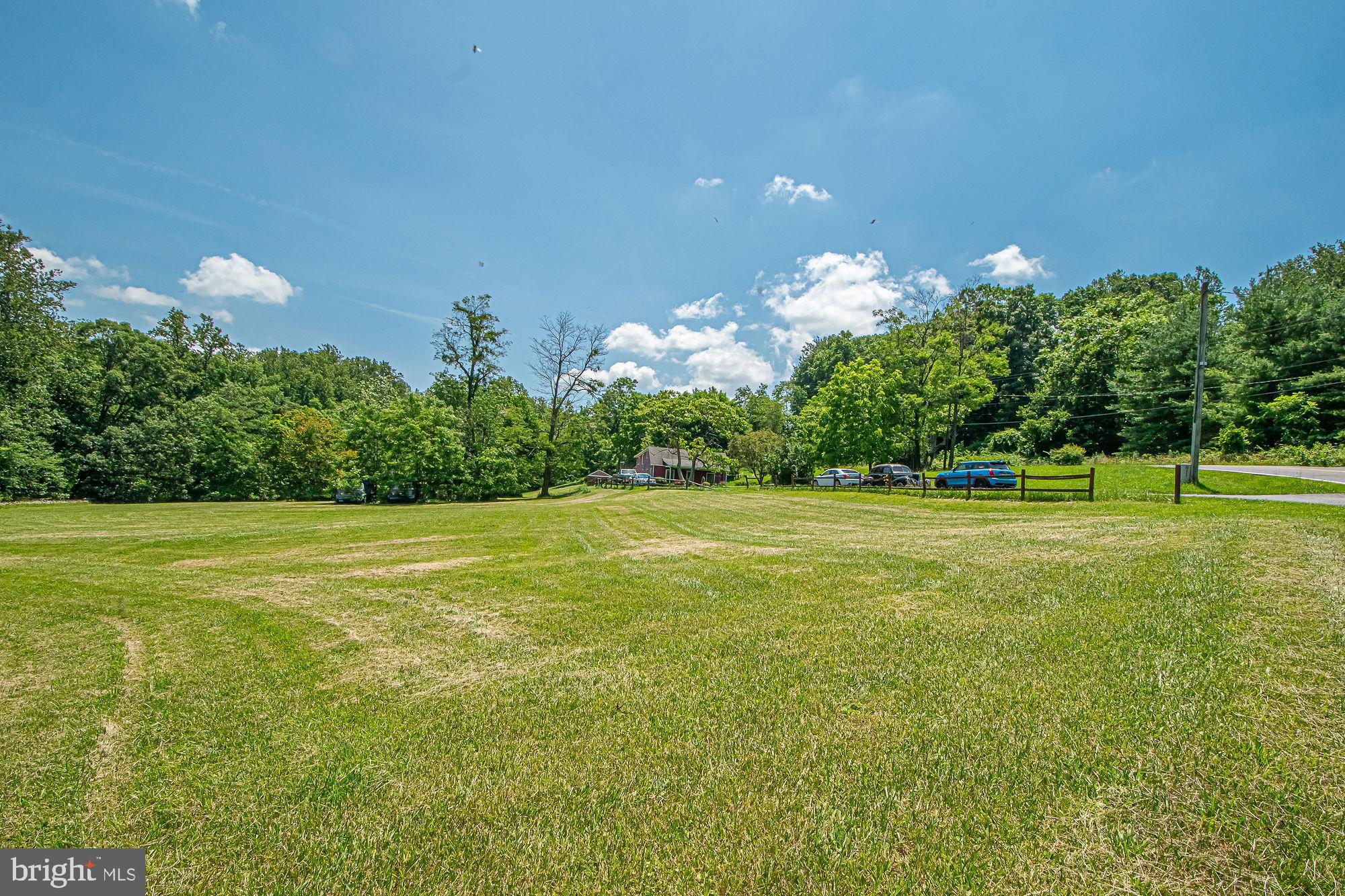 115 Chester Gap Road Chester Gap, VA 22623 - Photo 53 of 61 Pastoral view-this land adjoins & does not convey
