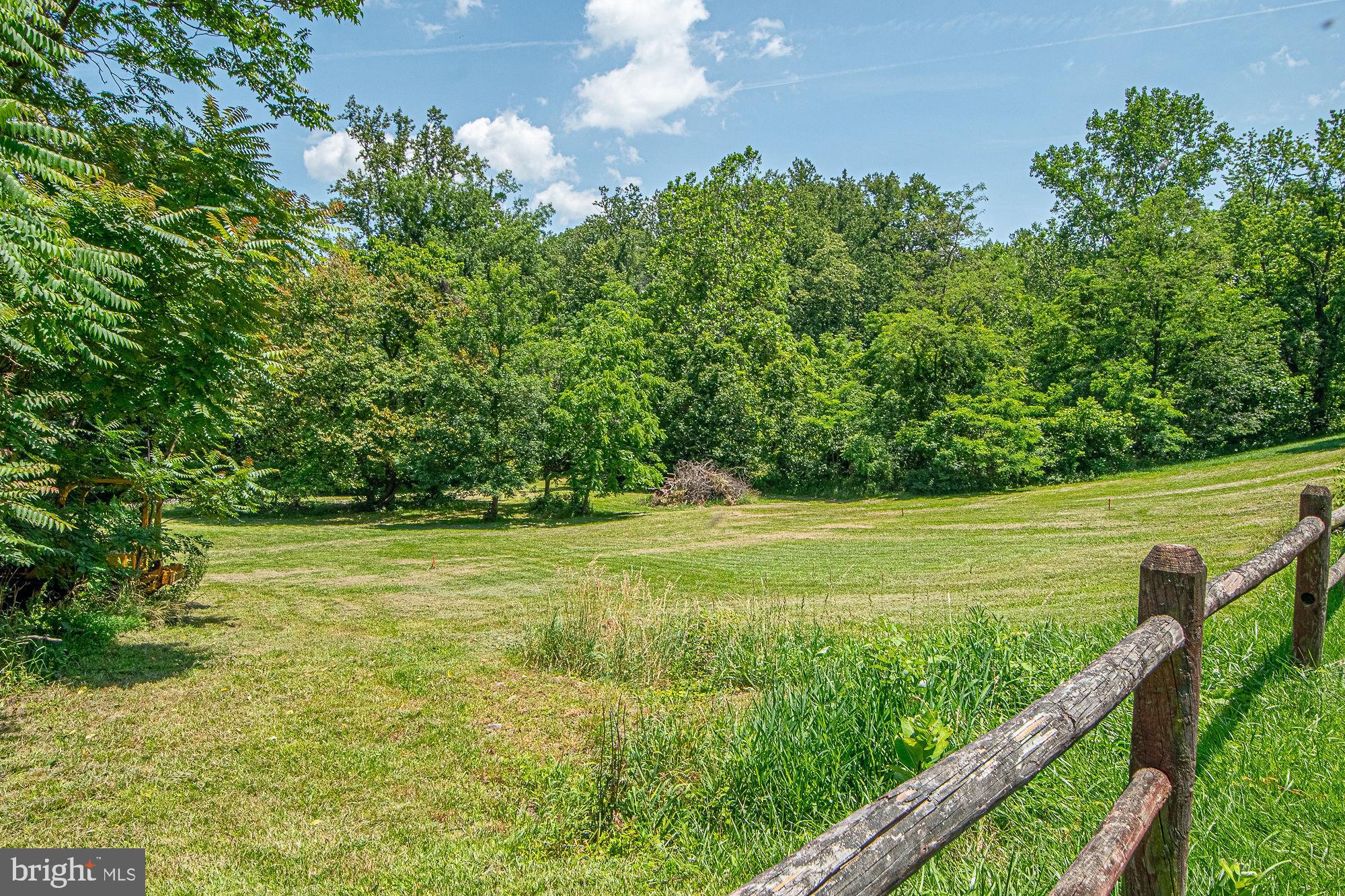 115 Chester Gap Road Chester Gap, VA 22623 - Photo 9 of 61 A portion of this land adjoins & does not convey
