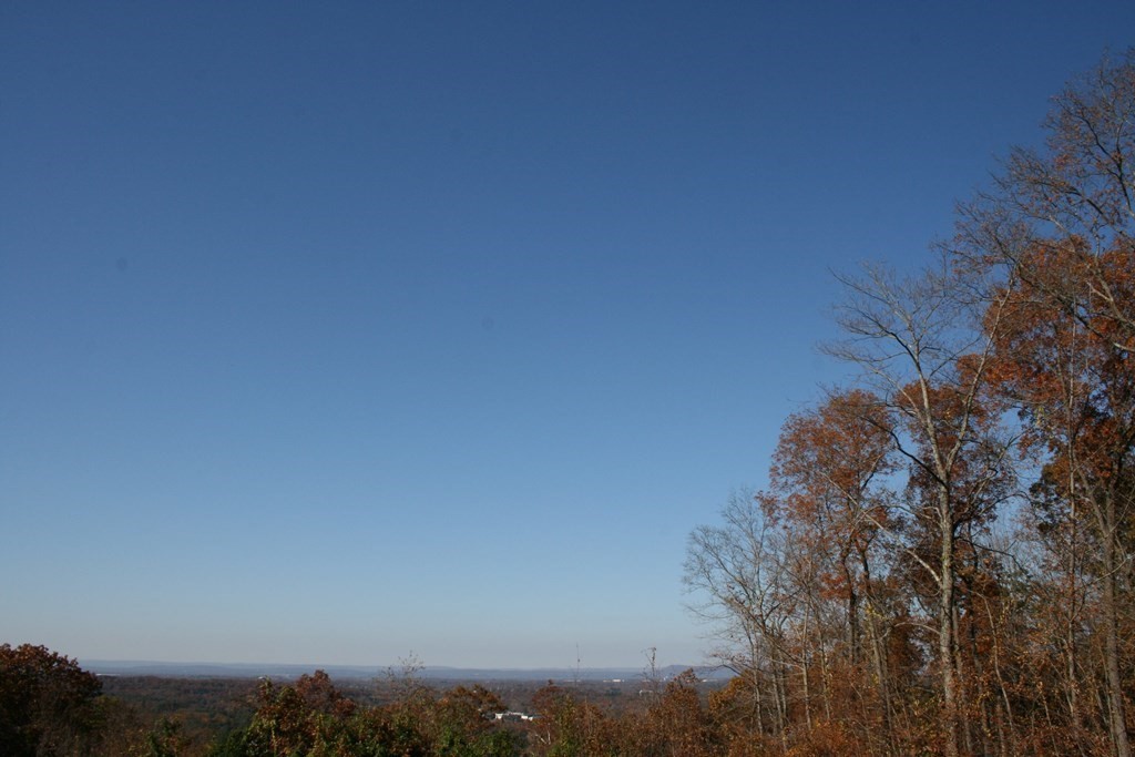 24 Sunset Rock Road Wilbraham, MA 01095 - Photo 12 of 18 a view of a city with lots of bushes