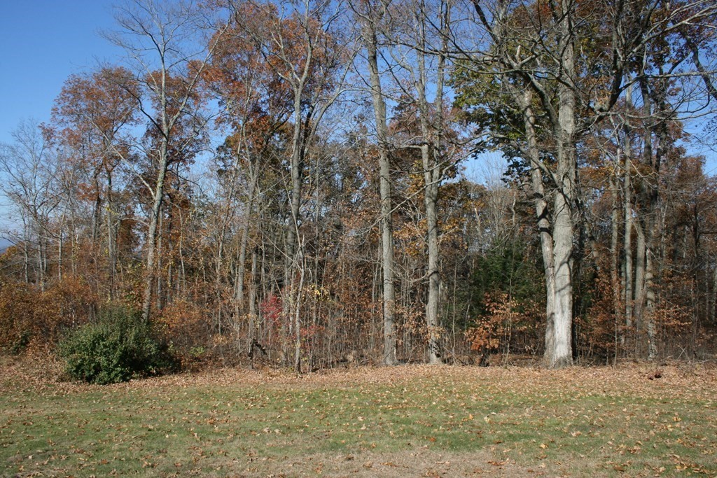 24 Sunset Rock Road Wilbraham, MA 01095 - Photo 13 of 18 a view of a backyard of the house