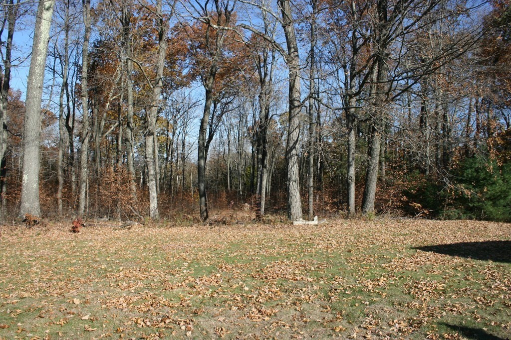 24 Sunset Rock Road Wilbraham, MA 01095 - Photo 15 of 18 a view of a yard covered with snow
