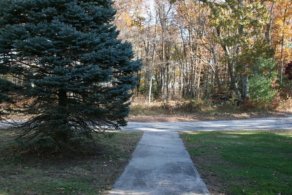 24 Sunset Rock Road Wilbraham, MA 01095 - Photo 3 of 18 a view of yard