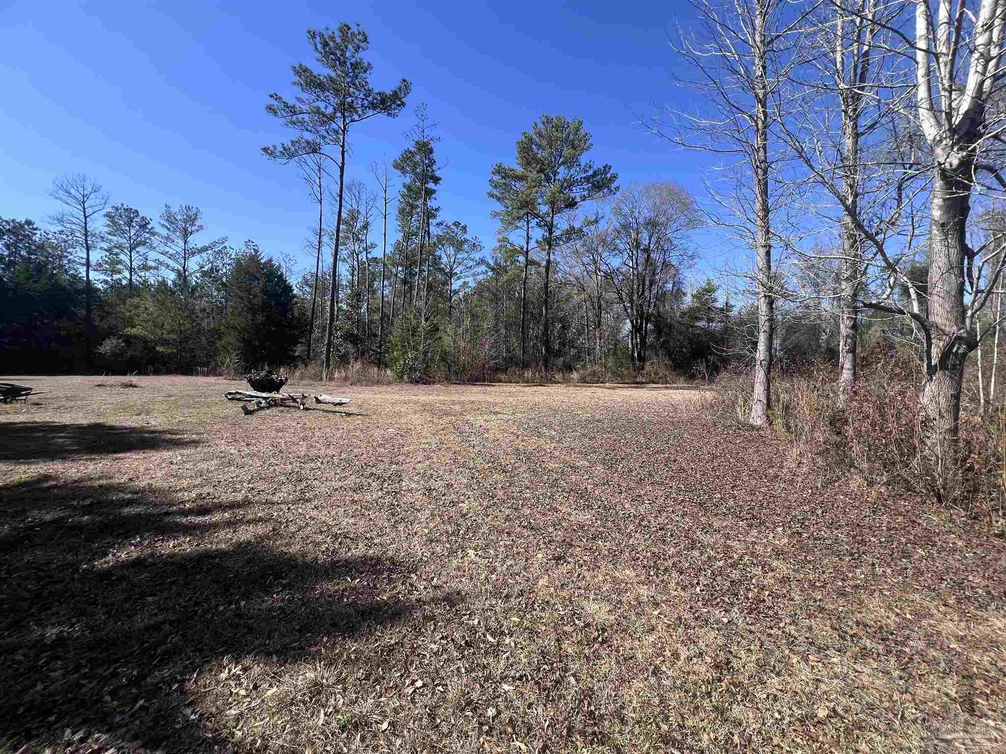 2230 Fannie Road Century, FL 32535 - Photo 30 of 32
