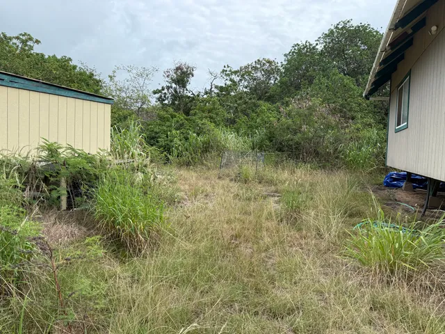 a view of a garden from a balcony