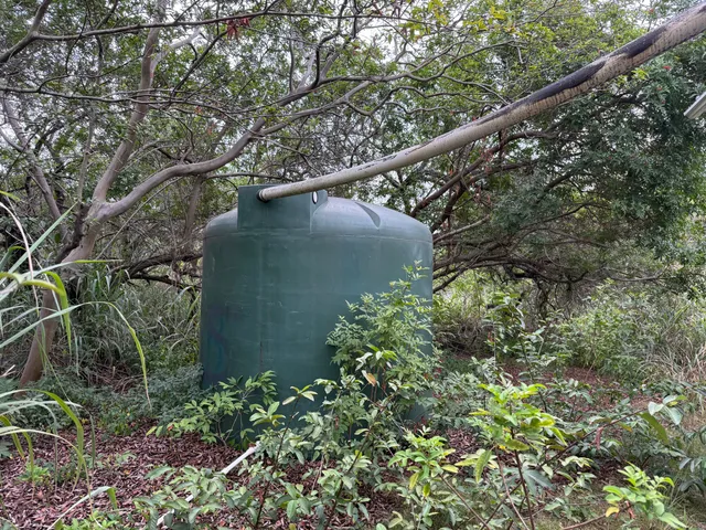 $99,000 | 94-1488 Kala Place, Naalehu, HI 96772