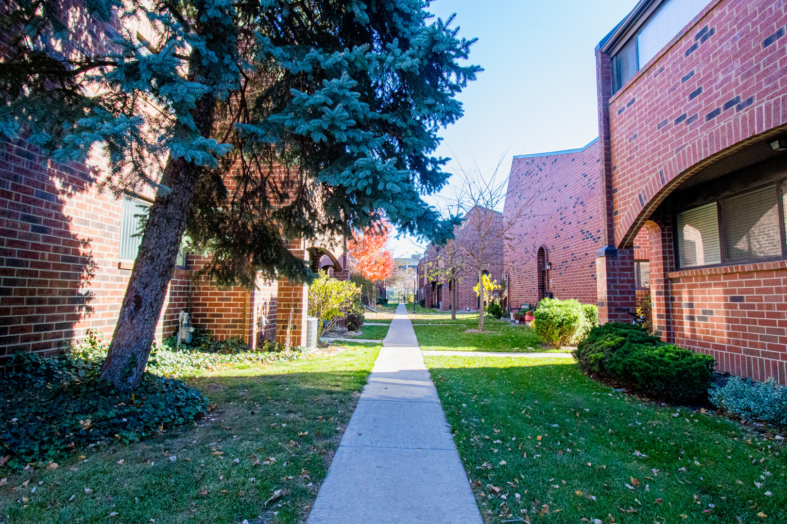 902 South May Street, Unit D Chicago, IL 60607 - Photo 2 of 24 a view of a yard with plants and large trees