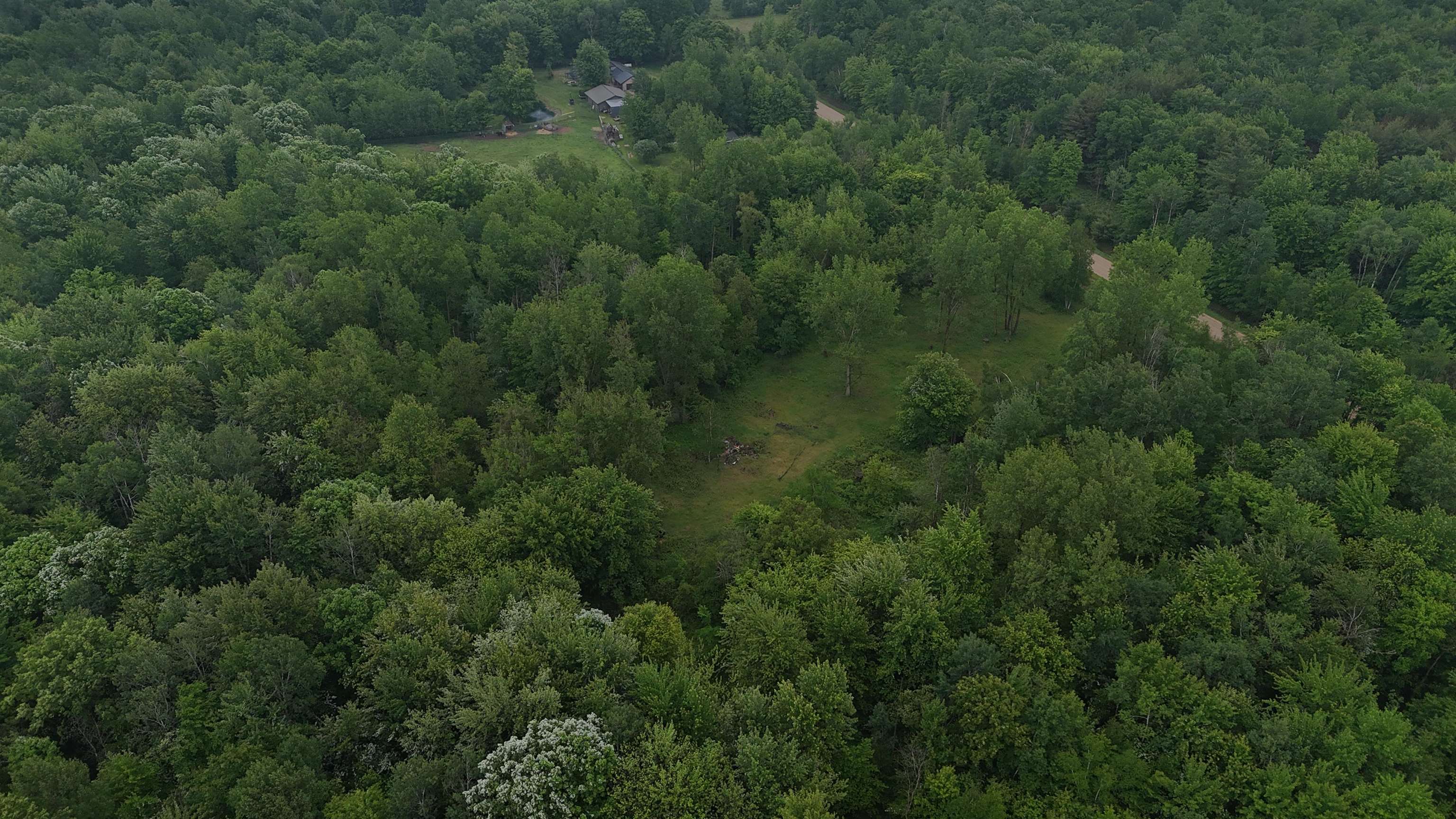4280 West Shepherd Road St. Louis, MI 48880 - Photo 6 of 27