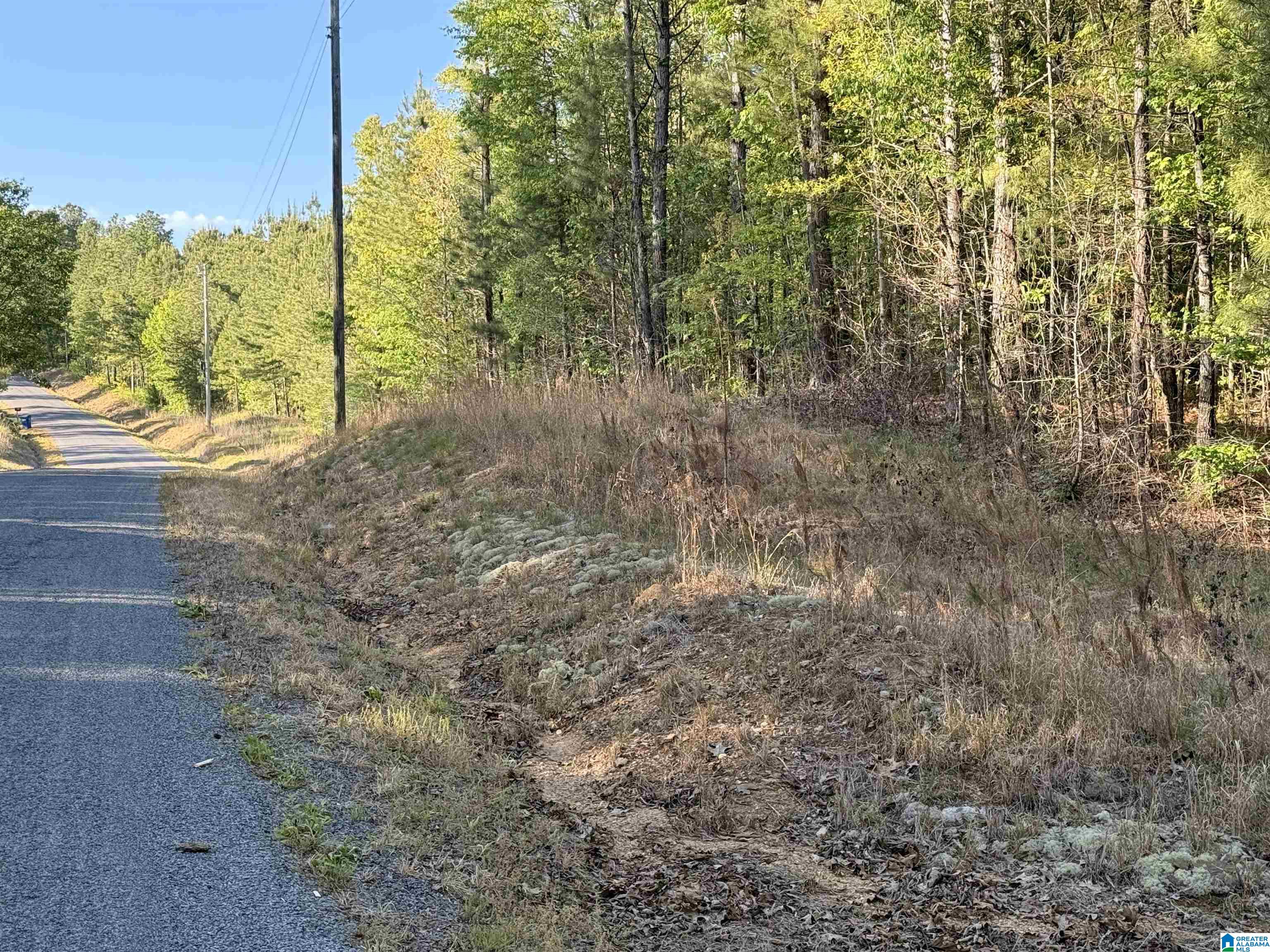 0 Piney Woods Road, Unit 3 Vincent, AL 35178 - Photo 14 of 16