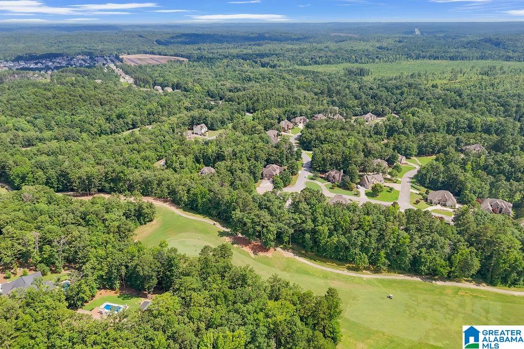530 Timberline Trail Calera, AL 35040 - Photo 63 of 65