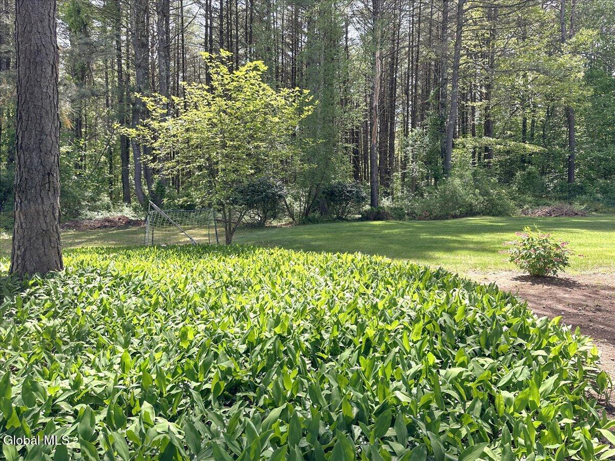 23 Revere Road Queensbury, NY 12804 - Photo 83 of 85 120-65-IMG_3792