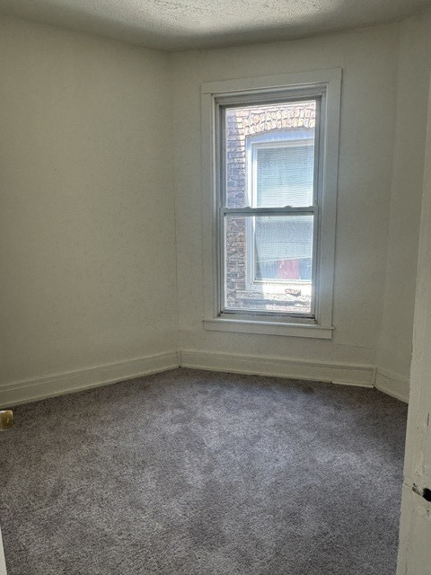 4445 West Maypole Avenue Chicago, IL 60624 - Photo 19 of 26